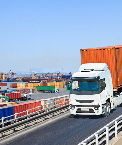 Sea Freight 